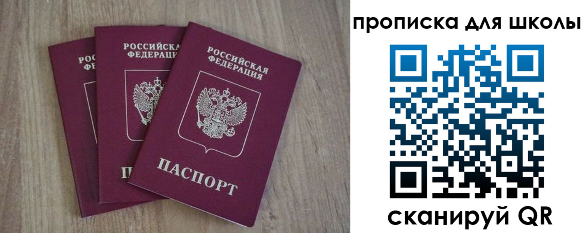 прописка для школы в Светлограде