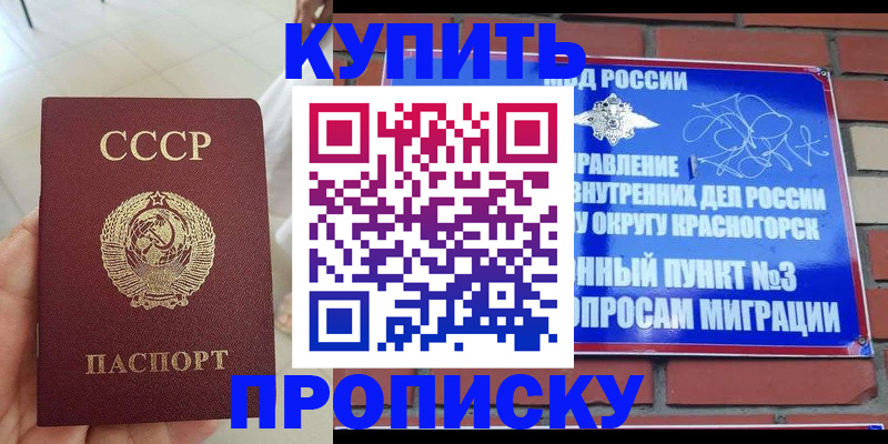 временная регистрация купить в Светлограде